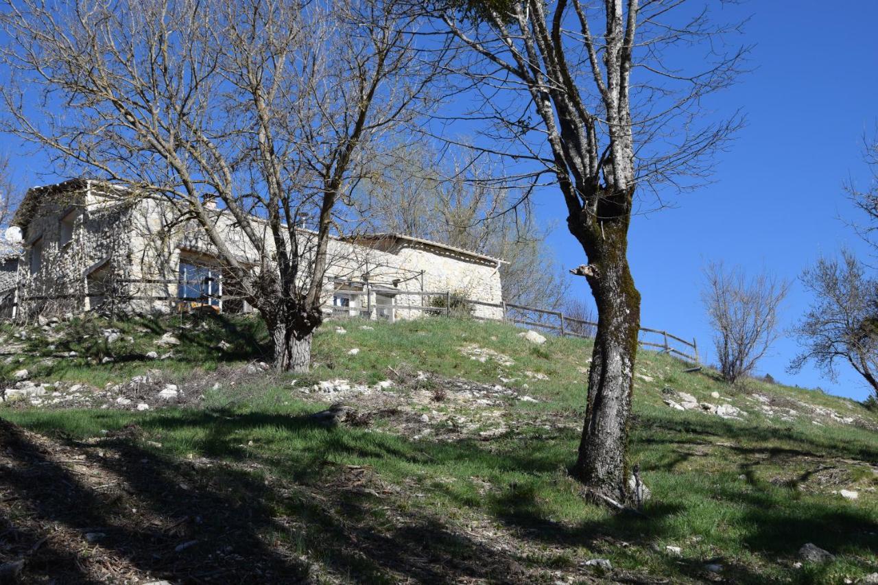 Gites Les Costoliers Châteauneuf-Miravail エクステリア 写真