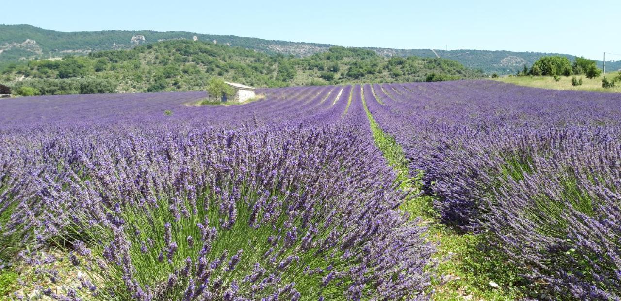 Gites Les Costoliers Châteauneuf-Miravail エクステリア 写真