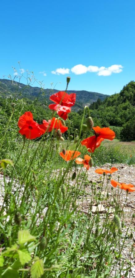 Gites Les Costoliers Châteauneuf-Miravail エクステリア 写真